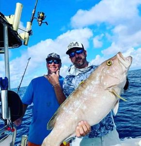Heavy Pound Grouper Caught in Florida